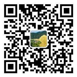 德福正神登录